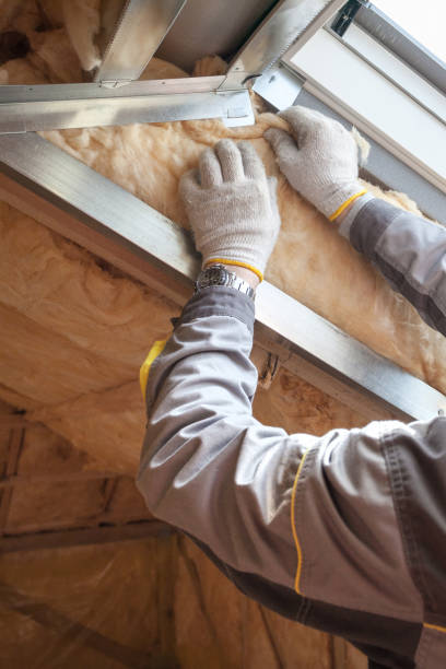 Best Insulation Maintenance and Repair in Hotchkiss, CO